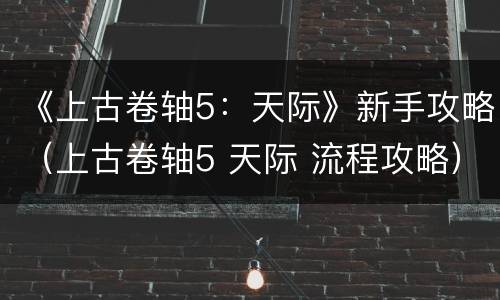 《上古卷轴5：天际》新手攻略（上古卷轴5 天际 流程攻略）