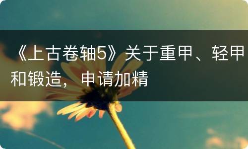 《上古卷轴5》关于重甲、轻甲和锻造，申请加精