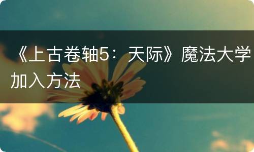 《上古卷轴5：天际》魔法大学加入方法