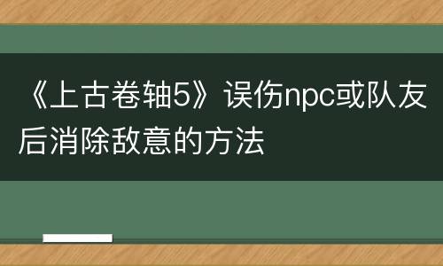 《上古卷轴5》误伤npc或队友后消除敌意的方法