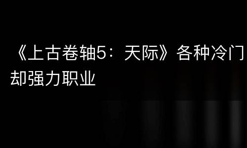 《上古卷轴5：天际》各种冷门却强力职业
