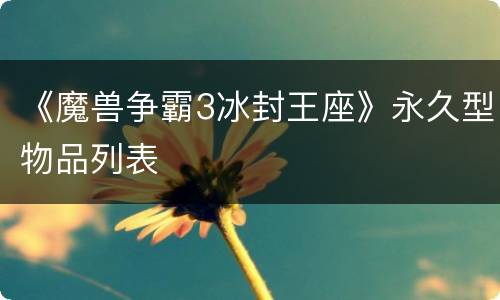 《魔兽争霸3冰封王座》永久型物品列表