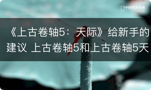 《上古卷轴5：天际》给新手的建议 上古卷轴5和上古卷轴5天际