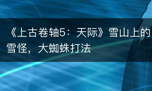 《上古卷轴5：天际》雪山上的雪怪，大蜘蛛打法