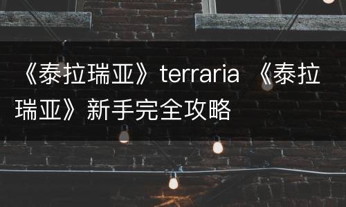 《泰拉瑞亚》terraria 《泰拉瑞亚》新手完全攻略