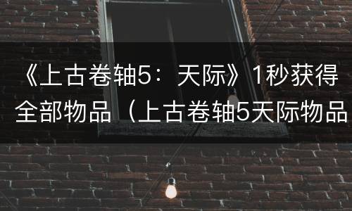 《上古卷轴5：天际》1秒获得全部物品（上古卷轴5天际物品秘籍大全）