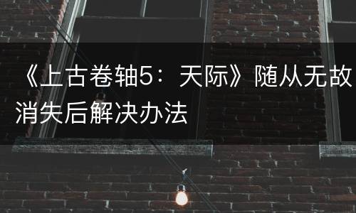 《上古卷轴5：天际》随从无故消失后解决办法