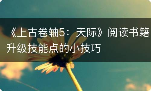 《上古卷轴5：天际》阅读书籍升级技能点的小技巧