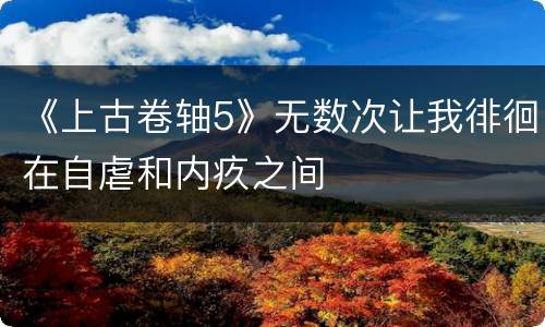 《上古卷轴5》无数次让我徘徊在自虐和内疚之间