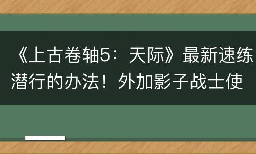 《上古卷轴5：天际》最新速练潜行的办法！外加影子战士使用心得