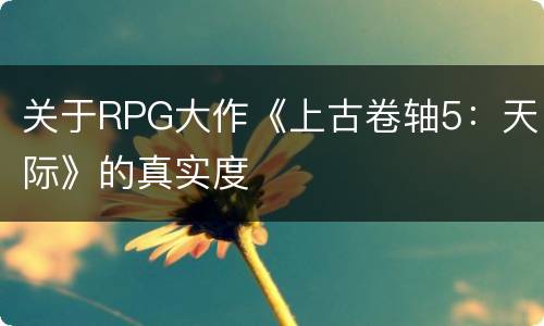 关于RPG大作《上古卷轴5：天际》的真实度