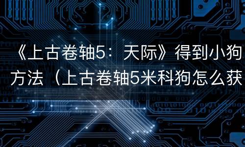 《上古卷轴5：天际》得到小狗方法（上古卷轴5米科狗怎么获得）