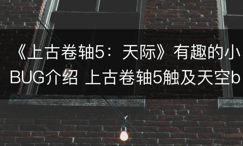《上古卷轴5：天际》有趣的小BUG介绍 上古卷轴5触及天空bug