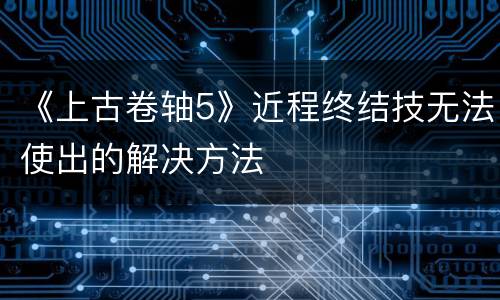 《上古卷轴5》近程终结技无法使出的解决方法