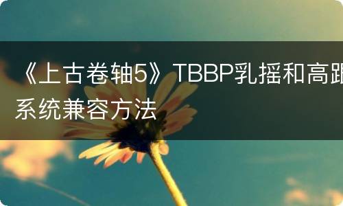 《上古卷轴5》TBBP乳摇和高跟系统兼容方法
