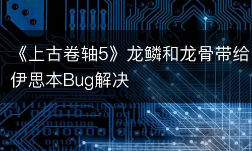 《上古卷轴5》龙鳞和龙骨带给伊思本Bug解决
