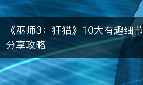 《巫师3：狂猎》10大有趣细节分享攻略