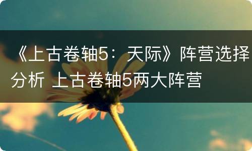 《上古卷轴5：天际》阵营选择分析 上古卷轴5两大阵营