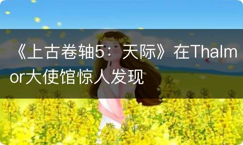 《上古卷轴5：天际》在Thalmor大使馆惊人发现