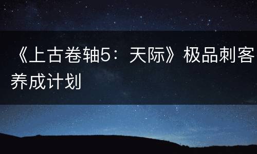 《上古卷轴5：天际》极品刺客养成计划