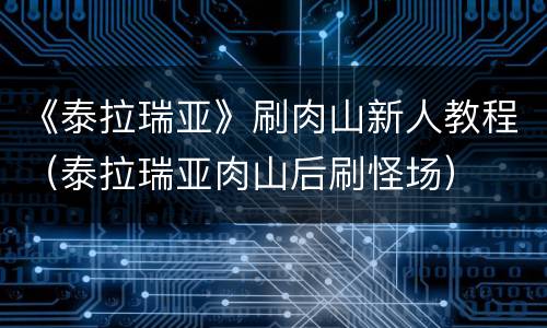 《泰拉瑞亚》刷肉山新人教程（泰拉瑞亚肉山后刷怪场）
