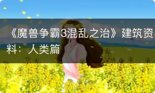 《魔兽争霸3混乱之治》建筑资料：人类篇