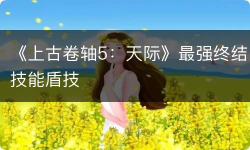 《上古卷轴5：天际》最强终结技能盾技