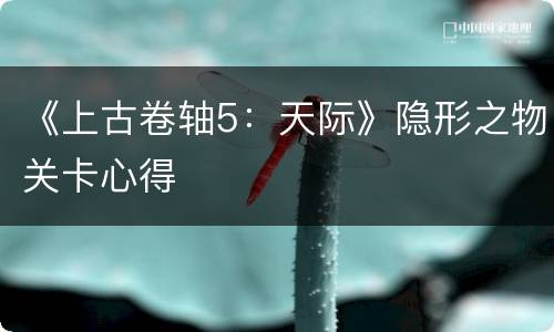 《上古卷轴5：天际》隐形之物关卡心得