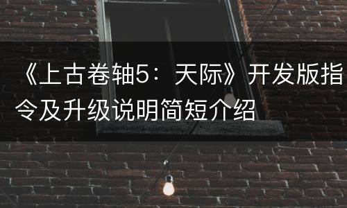 《上古卷轴5：天际》开发版指令及升级说明简短介绍
