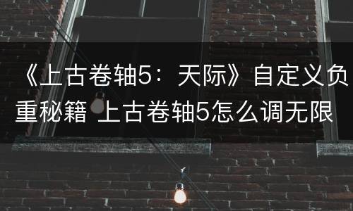 《上古卷轴5：天际》自定义负重秘籍 上古卷轴5怎么调无限负重