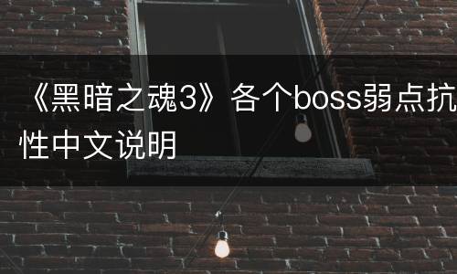 《黑暗之魂3》各个boss弱点抗性中文说明