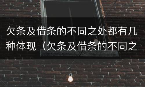 欠条及借条的不同之处都有几种体现（欠条及借条的不同之处都有几种体现方法）