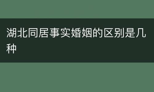 湖北同居事实婚姻的区别是几种