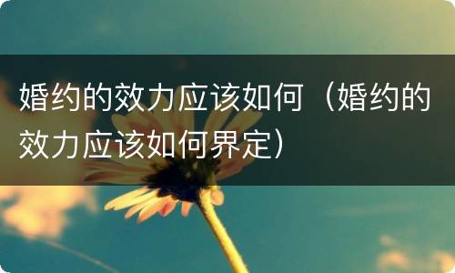 婚约的效力应该如何（婚约的效力应该如何界定）