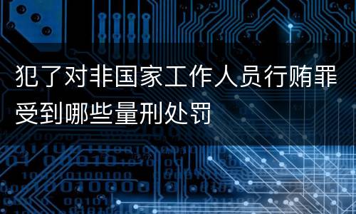 犯了对非国家工作人员行贿罪受到哪些量刑处罚