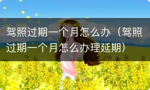 驾照过期一个月怎么办（驾照过期一个月怎么办理延期）