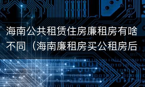 海南公共租赁住房廉租房有啥不同（海南廉租房买公租房后悔了）