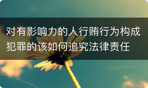 对有影响力的人行贿行为构成犯罪的该如何追究法律责任