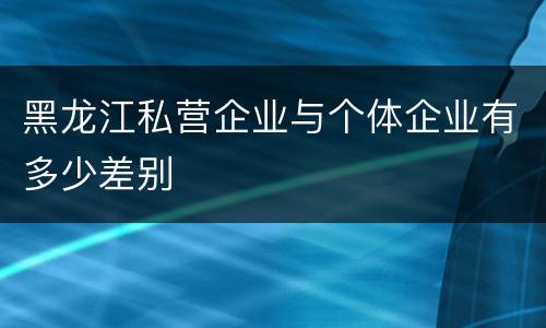 黑龙江私营企业与个体企业有多少差别