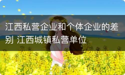 江西私营企业和个体企业的差别 江西城镇私营单位