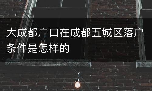 大成都户口在成都五城区落户条件是怎样的