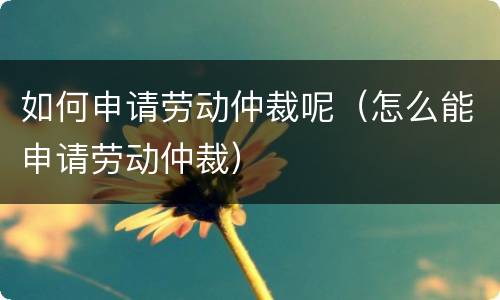 如何申请劳动仲裁呢（怎么能申请劳动仲裁）