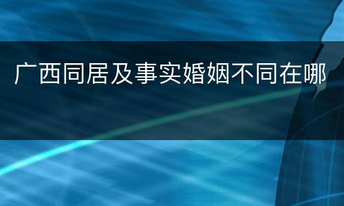 广西同居及事实婚姻不同在哪