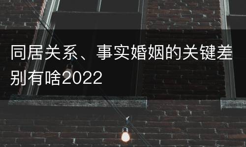 同居关系、事实婚姻的关键差别有啥2022