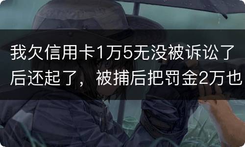 我欠信用卡1万5无没被诉讼了后还起了，被捕后把罚金2万也给了，什么时候放人呀