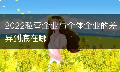 2022私营企业与个体企业的差异到底在哪