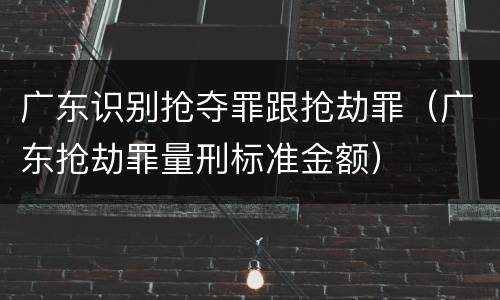 广东识别抢夺罪跟抢劫罪（广东抢劫罪量刑标准金额）