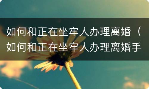 如何和正在坐牢人办理离婚（如何和正在坐牢人办理离婚手续呢）