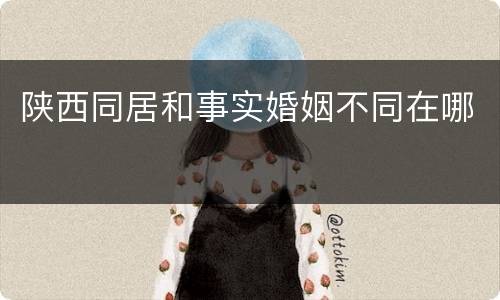 陕西同居和事实婚姻不同在哪