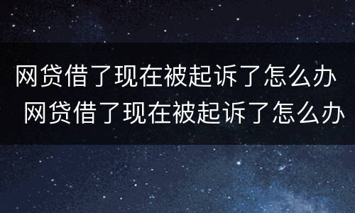 网贷借了现在被起诉了怎么办 网贷借了现在被起诉了怎么办理